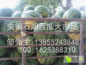 安徽网红地下室吃瓜,安徽“吃瓜”现象背后的故事 第3张 安徽网红地下室吃瓜,安徽“吃瓜”现象背后的故事 第3张